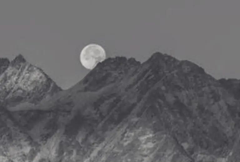 Guru Purnima 1
