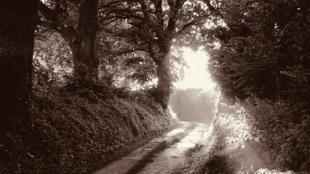 interview igor kufayev newsweek psychologia