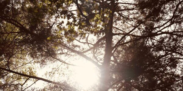 warsaw tantra spiritual immersion
