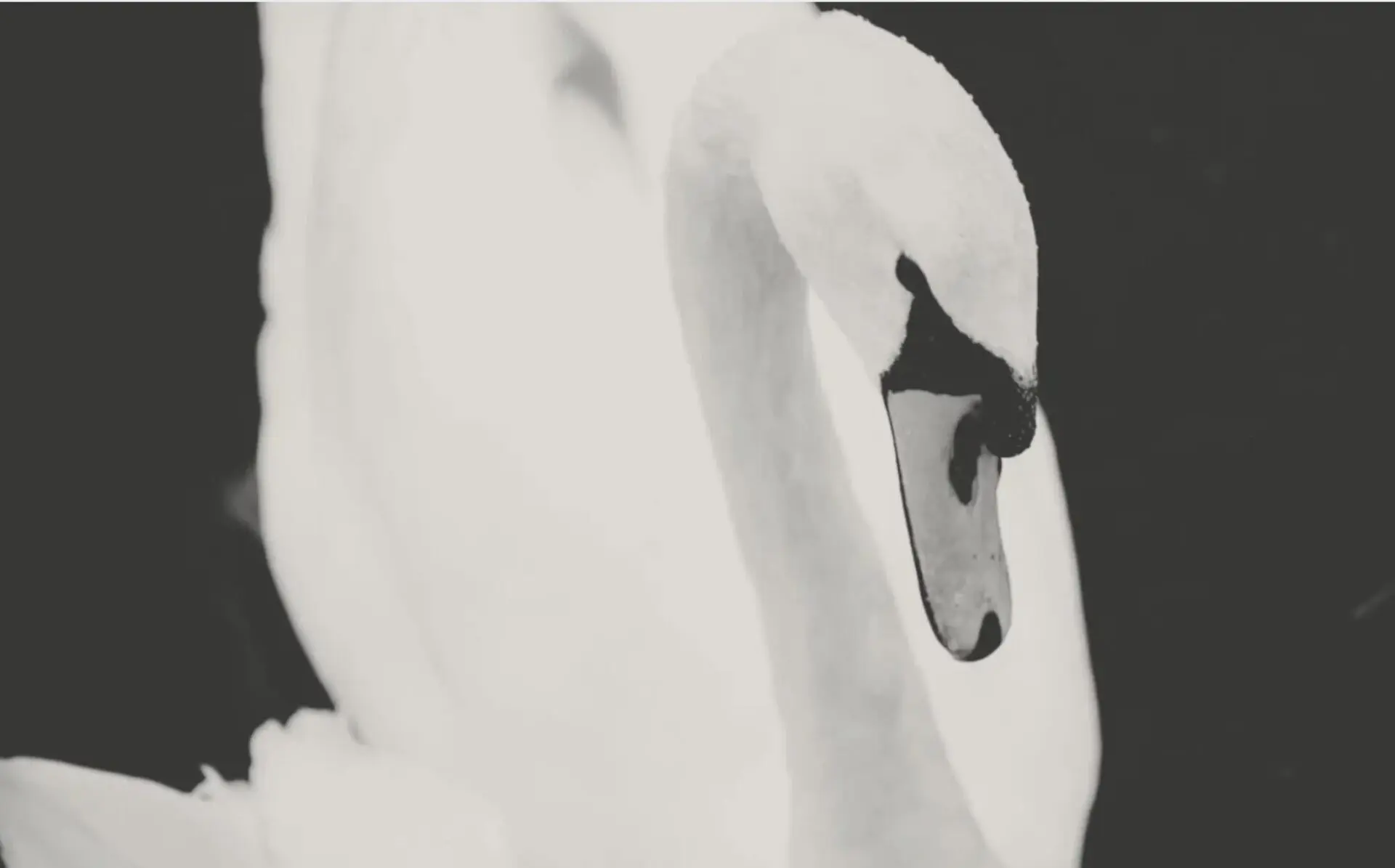 Flow advanced meditation online course