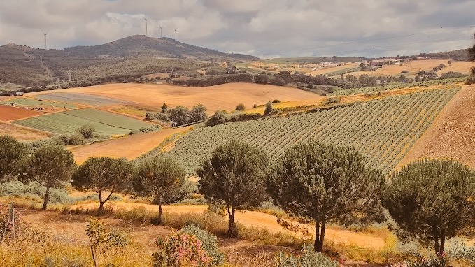 Immersion Igor Kufayev