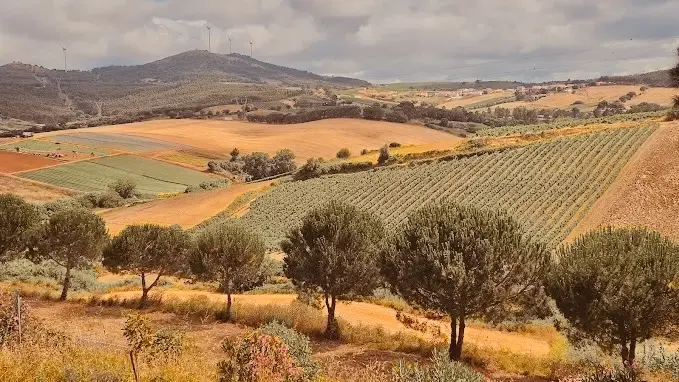 Immersion Igor Kufayev